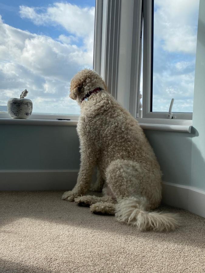 Oceandrive Bed & Breakfast Barmouth Eksteriør bilde