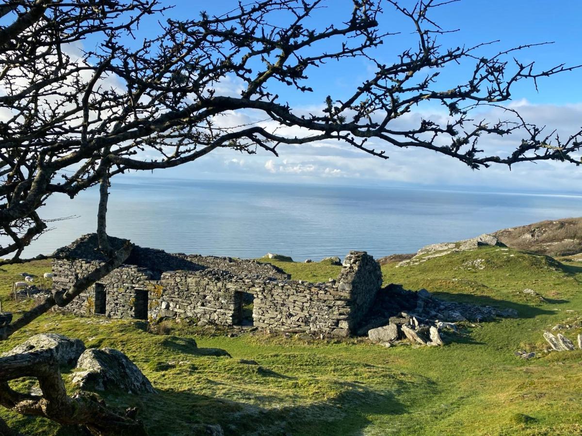 Oceandrive Bed & Breakfast Barmouth Eksteriør bilde
